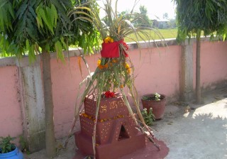 आज हरिबोधिनी एकादशी