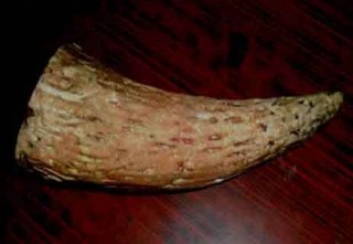 गैँडाको खागसहित एक जना प्रहरी नियन्त्रणमा