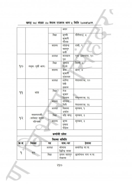 b9.jpg