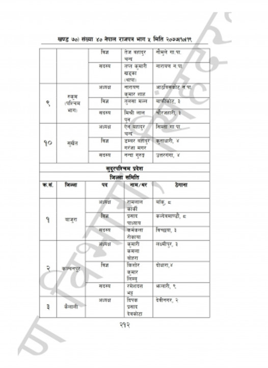 b11.jpg