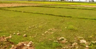 प्राविधिक शिक्षालय भवनका लागि १० कठ्ठा जग्गादान