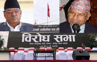 ओलीको बिरोध गर्दै आयोजना गरेको सभामा ओलीकै नक्कल, यी हुन् ओली विरुद्ध जाईलाग्ने १४ जना 