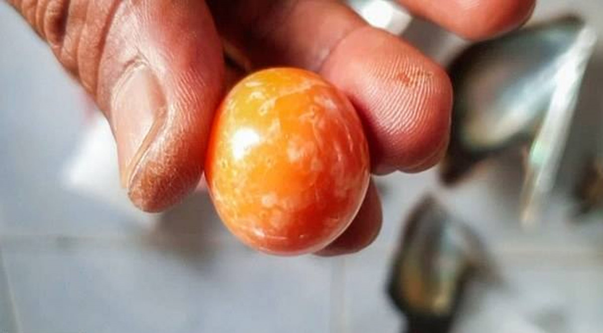 माझीले भेट्टाए ४ करोड मूल्यको यस्तो दुर्लभ मोती, प्रहरीले समातेर किन थुन्यो ?