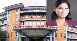 एउटै कम्पनीको सस्तो प्रस्ताव रद्द गरी फेरि उसैलाई महँगोमा ठेक्का दिएर राज्यलाई २९ कसले पार्दैछ दम्पच ?