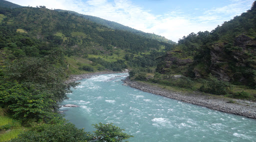 KOshi.jpg