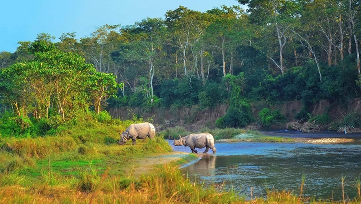 पश्चिम चितवनतर्फ आकर्षित हुदैँ पर्यटक