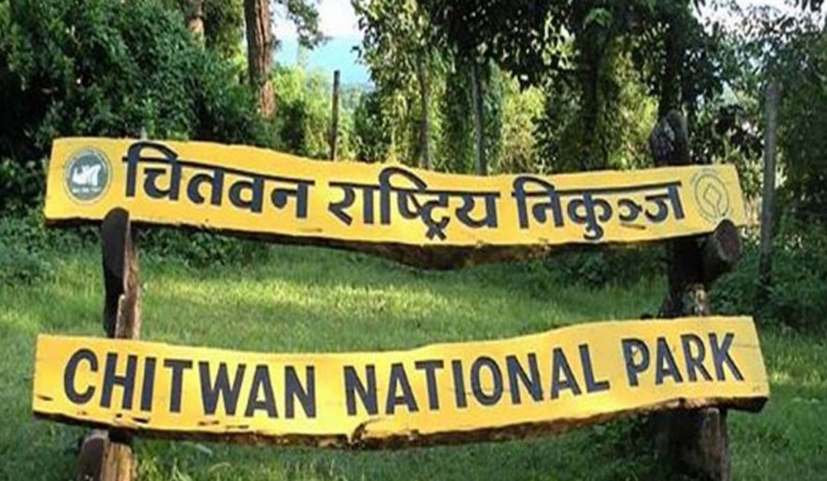 चितवन राष्ट्रिय निकुञ्जमा गैँडा र बाघ मृत फेला