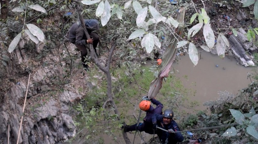 गोकर्णमा प्रहरीले पक्रन खोज्दा रुखमा चढेर ‘हाम्फाल्छु’ भनेपछि....