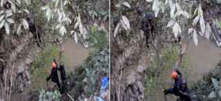प्रहरीले समात्न खोज्दा मर्ने धम्की दिँदै रुखबाट हामफाल्न खोजे पछि...