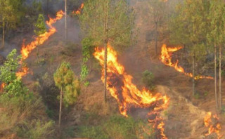 तीन दिनदेखि लागेको डढेलो अझै नियन्त्रण बाहिर  