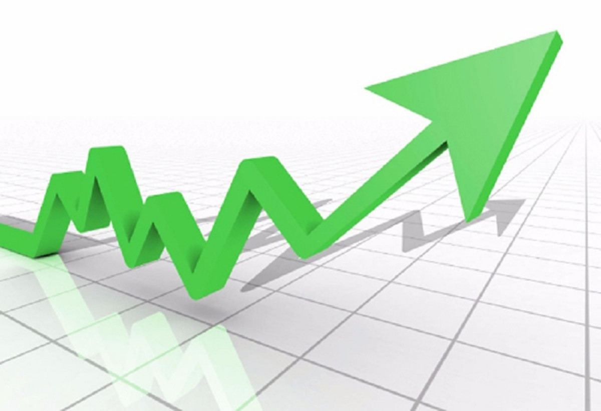 साल्ट ट्रेडिङ कर्पोरेशनको शेयरमूल्य १० प्रतिशतले बढ्यो, साढे ११ हजार बढि पुग्यो मूल्य ?