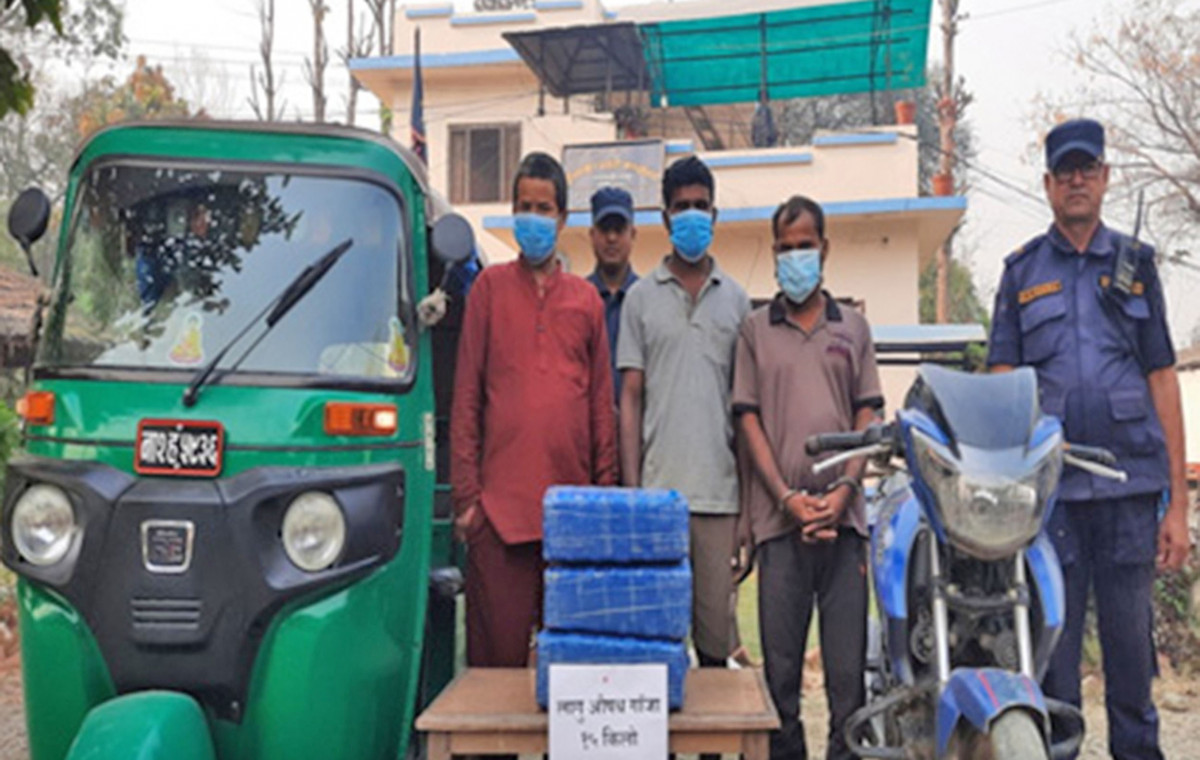 १५ किलो लागुऔषध गाँजा बरामद, ३ जना पक्राउ