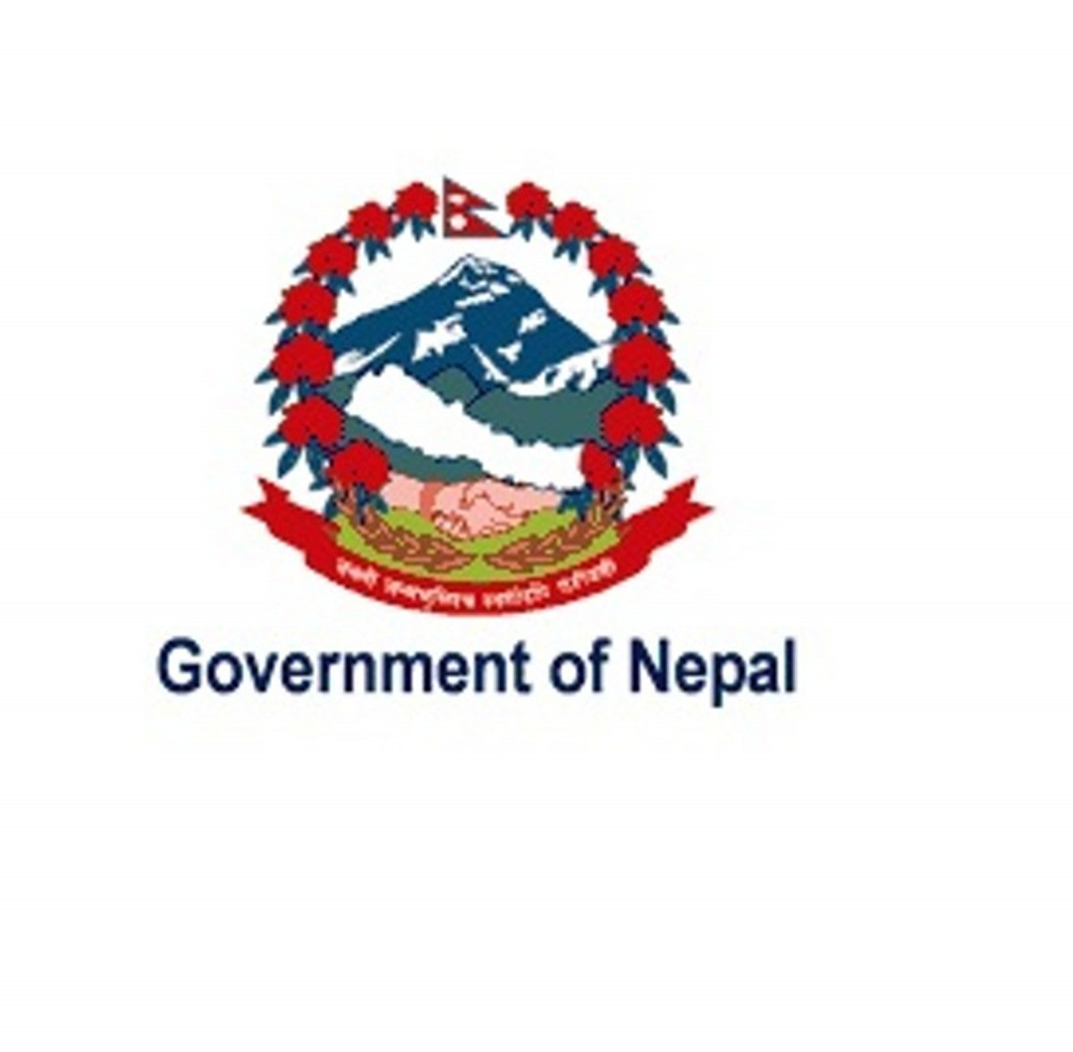 २० वर्षपछि मागियो भन्सार एजेन्ट, के-के हुनुपर्छ योग्यता