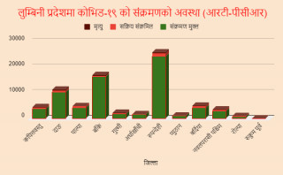 लुम्बिनी प्रदेशमा मात्रै १७५३ जनाको मृत्यु : साढे तीन महिनामा दुई लाख बढी भारतबाट नेपाल प्रवेश, परीक्षण चाहिँ  मात्र ५ हजार