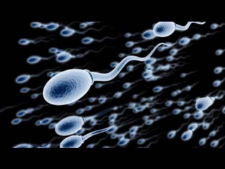 के वीर्य स्खलनपछि शरीर कमजोर हुन्छ ? के लिंग फ्र्याक्चर हुन सक्छ ?