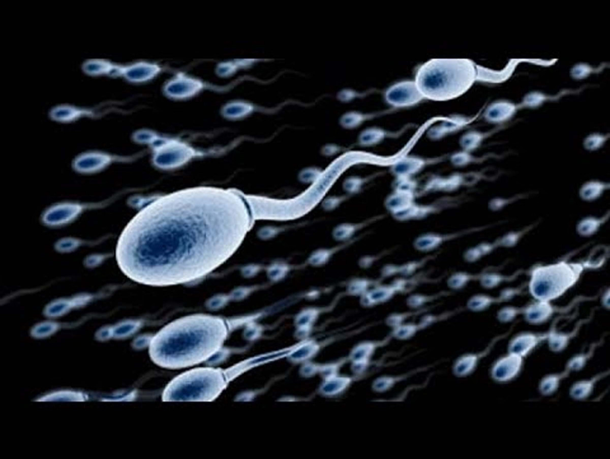 के वीर्य स्खलनपछि शरीर कमजोर हुन्छ ? के लिंग फ्र्याक्चर हुन सक्छ ?