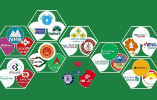 शेयर धितोमा कर्जा : कुन वाणिज्य बैंकबाट कति ? (सूचीसहित)