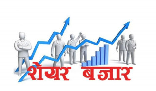 आज नेप्सेमा छायो हरियाली, यी कम्पनीको भयो सर्वाधिक कारोबार