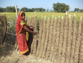 इन्धनका जोहोका लागि  ‘गुइँठा’