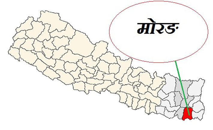 मोरङमा हात्तीको आक्रमणमा परी १३ वर्षमा १६ जनाको  मृत्यु