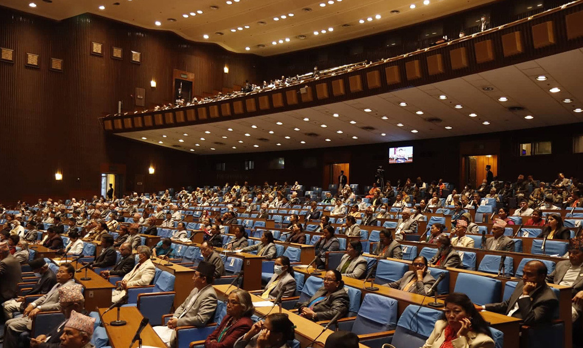 महँगी र डेँङ्गु नियन्त्रणका लागि सांसदको ध्यानाकर्षण