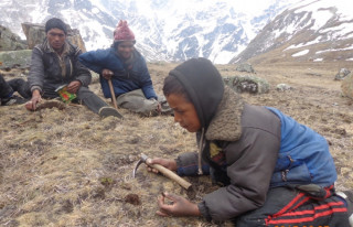 विद्यार्थीहरू यार्सा पाटनतिर लागेपछि विद्यालय रित्तै