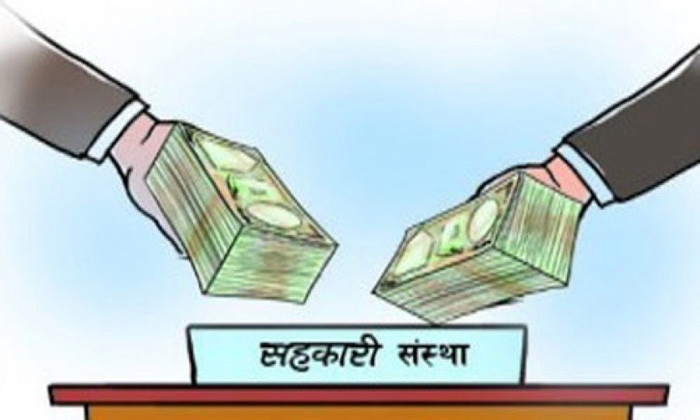 सहकारी बजार विकासको कार्यक्रम अन्तिम चरणमा