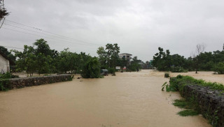 चितवनका ५० हजार परिवार बाढीको जोखिममा