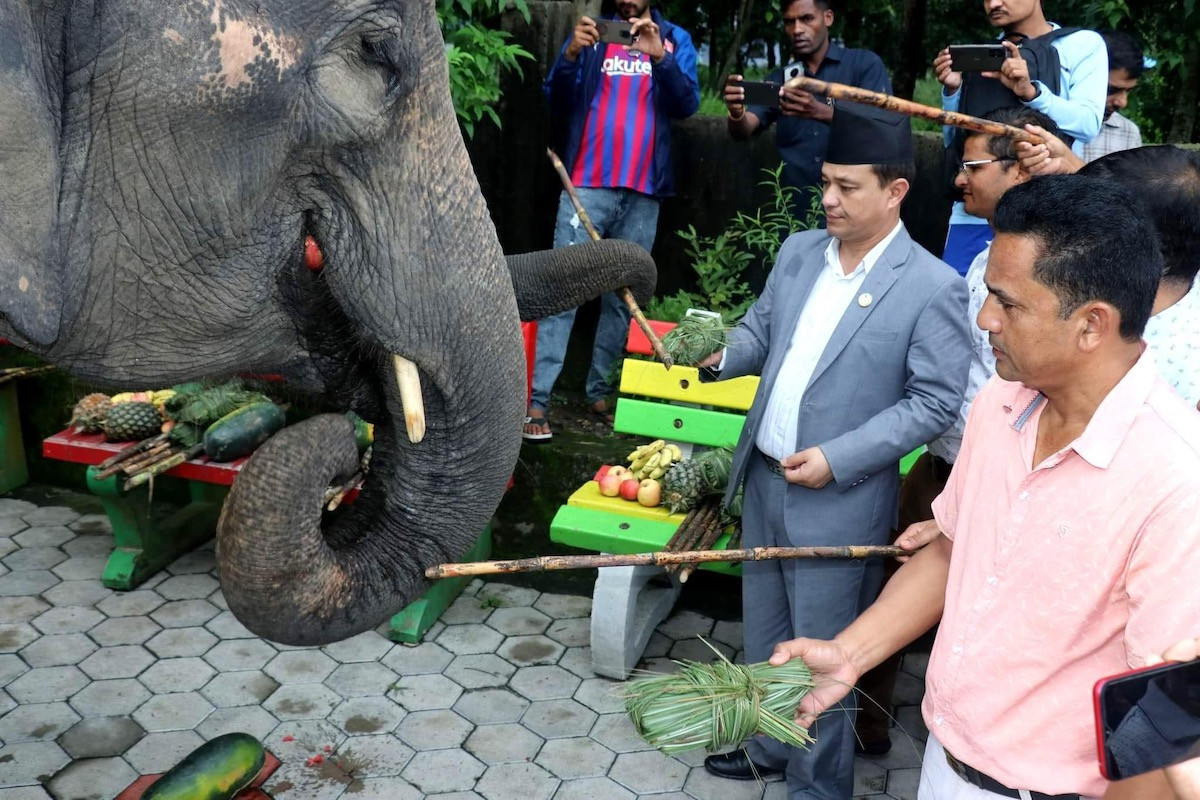 हात्ती वनभोेजका लागि रकम भुक्तानी नगर्न निर्देशन