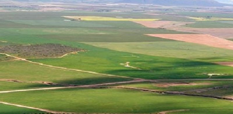 घरजग्गा कारोबारमा किन बढेन ‘कन्फिडेन्स’ ?