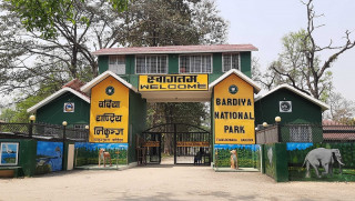 बाघ हेर्न बर्दिया निकुञ्जमा पर्यटकको घुइँचो