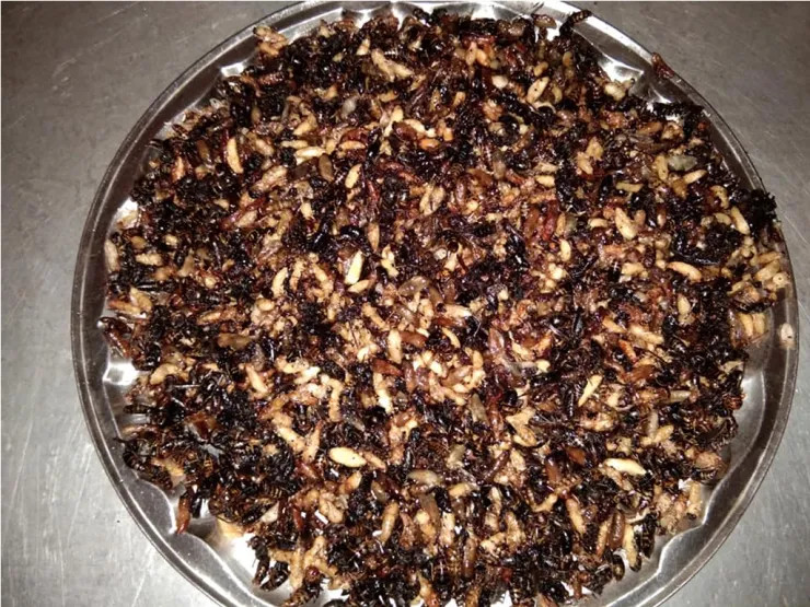 लोकप्रिय बन्दै अरिङ्गालका परिकार