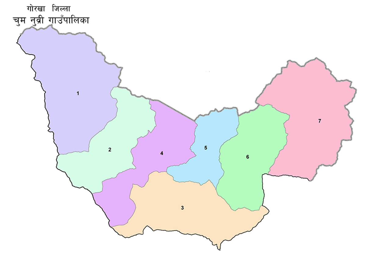 चुमनुव्री गाउँपालिका: बाढीले क्षति पुर्याएको पुल स्थानीयवासीद्वारा पुनः मर्मत गरी ल्याए सञ्चालनमा