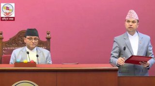 डेङ्गु रोकथाममा ध्यान दिन सरकारसँग माग