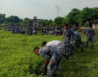 सरसफाइमा सशस्त्र प्रहरी