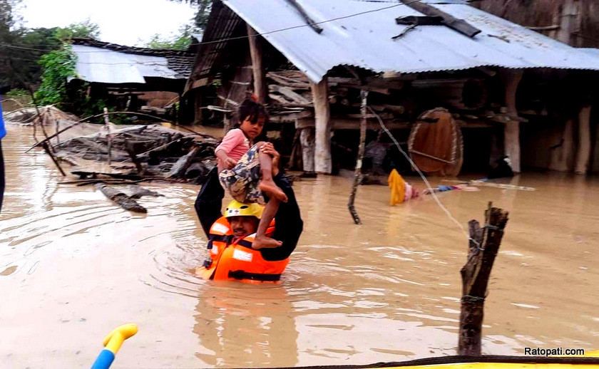 कैलाली बाढी पीडितको पीडा : वस्तुभाउ पनि खान नपाएर  मर्ने भए