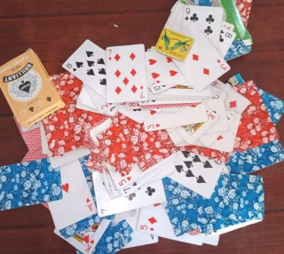 एक वर्षमा ३१ करोडको तास आयात