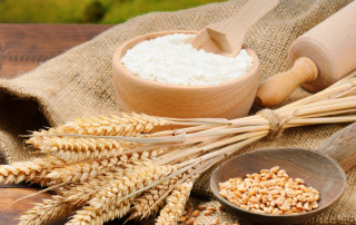 आटा ढुक्कले खाए हुन्छ, मैदा किन हुँदैन ?