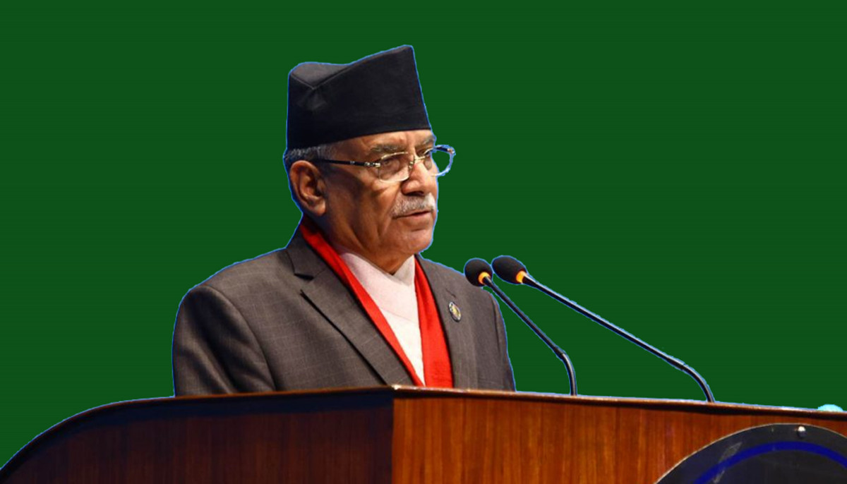 नर्सिङ क्षेत्रमा देखिएका समस्या समाधान गर्न सरकारले दृढ संकल्प गरेको छ: प्रधानमन्त्री प्रचण्ड