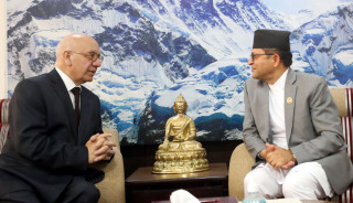 राष्ट्रियसभाका अध्यक्ष तिमिल्सिना र बेलायत लेबर पार्टीका सांसद शर्माबीच भेटवार्ता