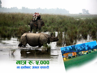 टेम्पल टाइगर रिसोर्टको नयाँ वर्षको अफर मात्र रु. ५००० को स्पेसल प्याकेज