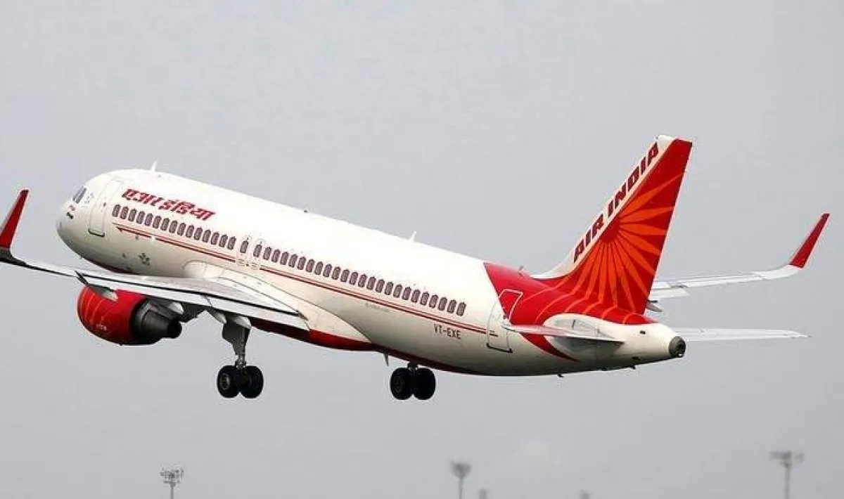 एअर इण्डियाको विमानमा सवार यात्रुलाई बिच्छीले डसेपछि…