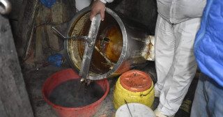 अखाद्यपदार्थ  मिसावट गरी मह उत्पादन गर्ने पक्राउ