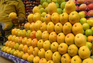 घट्यो आँपको मूल्य, प्रतिकिलो कति ?