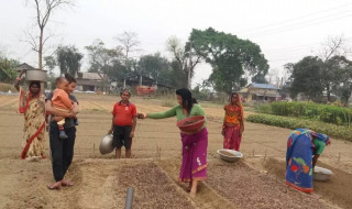 मेटलाइफ फाउन्डेसनद्वारा वनजंगल पुनरुत्थान परियोजनाका लागि सहयोग