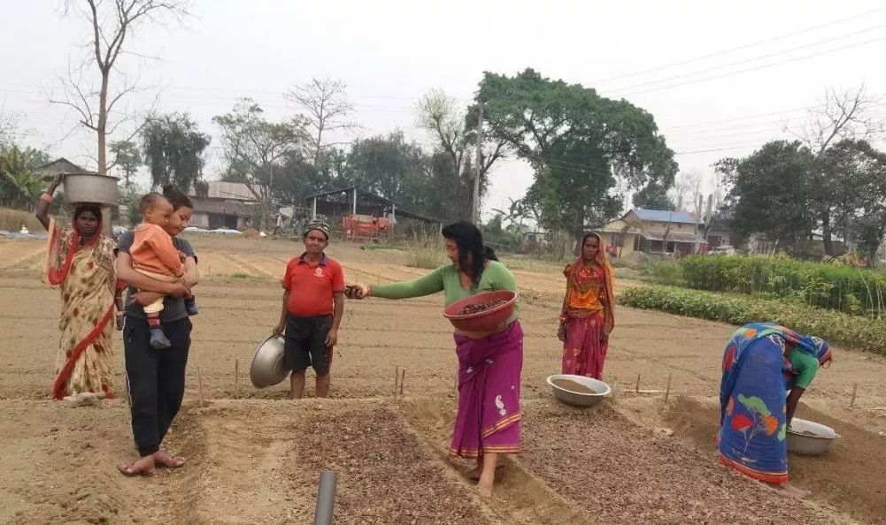 मेटलाइफ फाउन्डेसनद्वारा वनजंगल पुनरुत्थान परियोजनाका लागि सहयोग