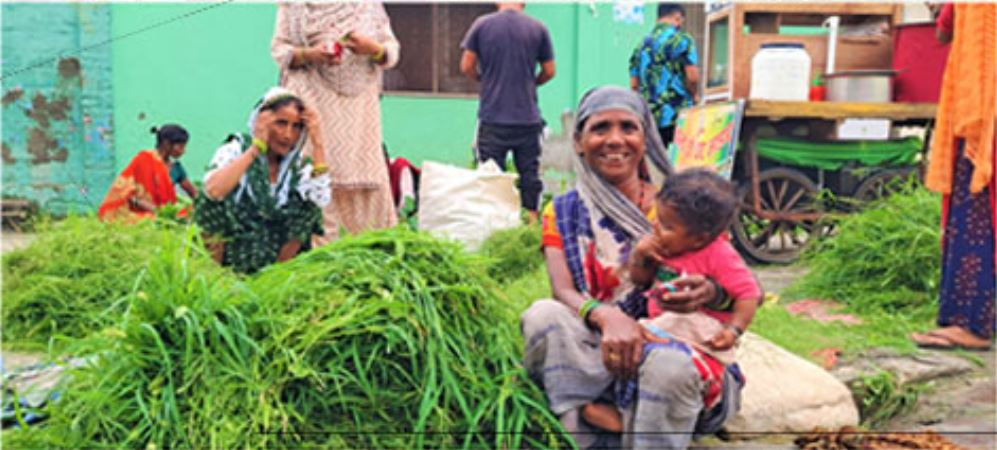 नेपालगन्ज सहर : टाँगा  चल्न छाड्यो, घाँस पनि बिक्री हुन छाड्यो