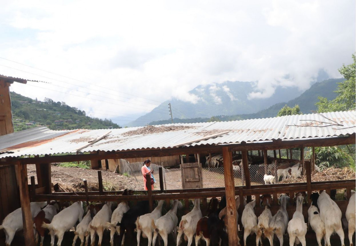 विदेशको सीप स्वदेशमा लगाउँदा....