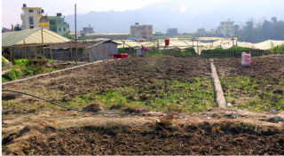 गोरखाका ११ वटै स्थानीय तहमा आजदेखी जग्गाको कित्ताकाट खुल्यो
