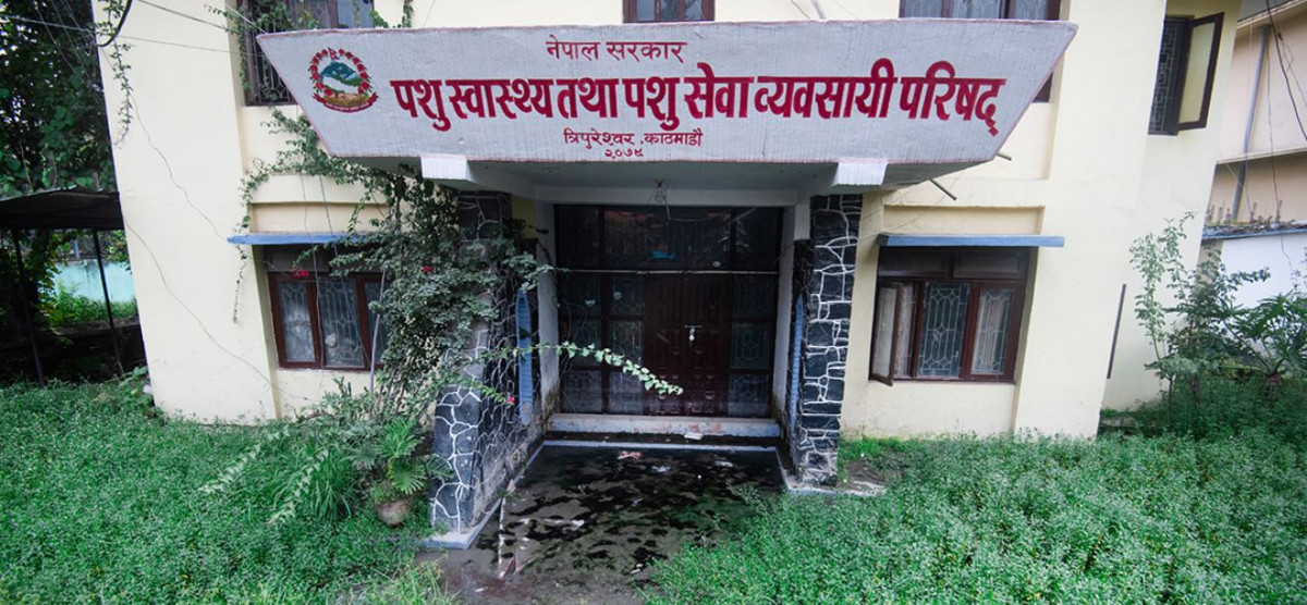 pashu sewa paresad.JPG